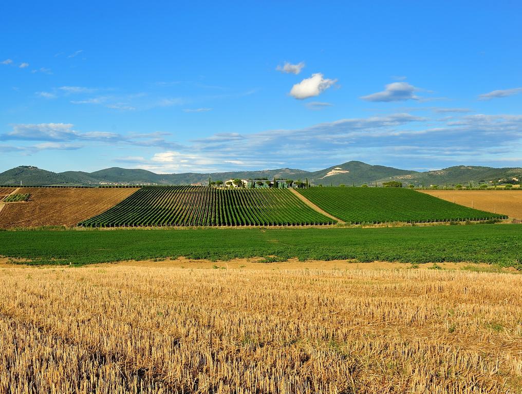 Tenuta Badia '99 Paciano Exterior foto